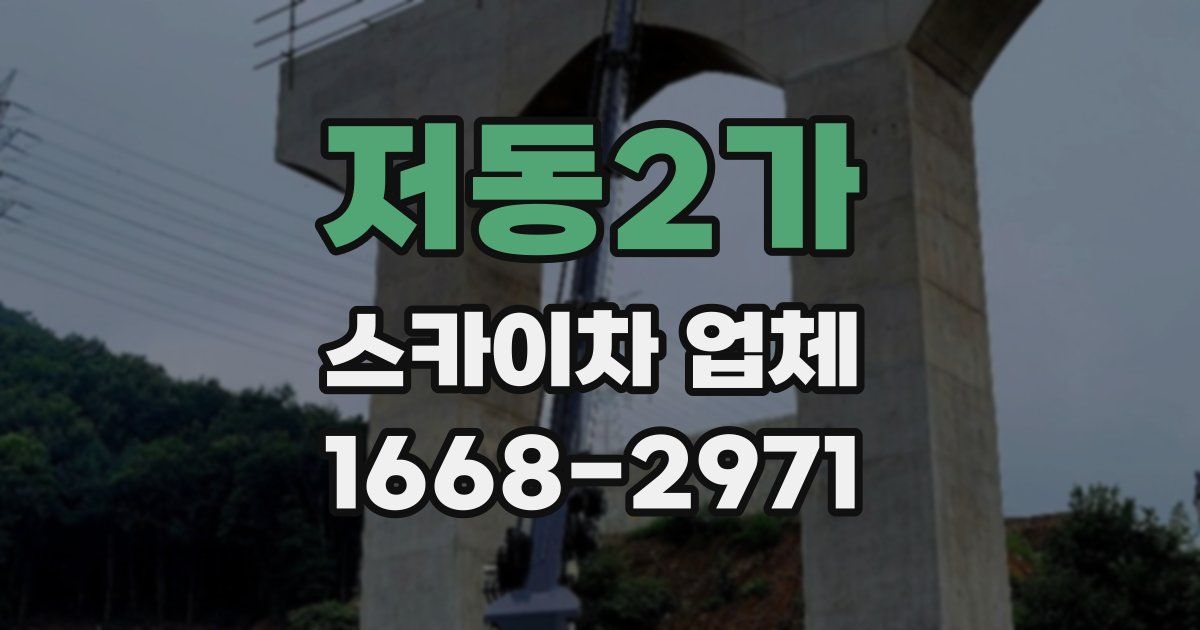 저동2가 스카이차 업체