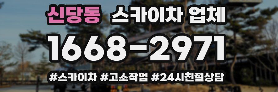 신당동 스카이차 업체