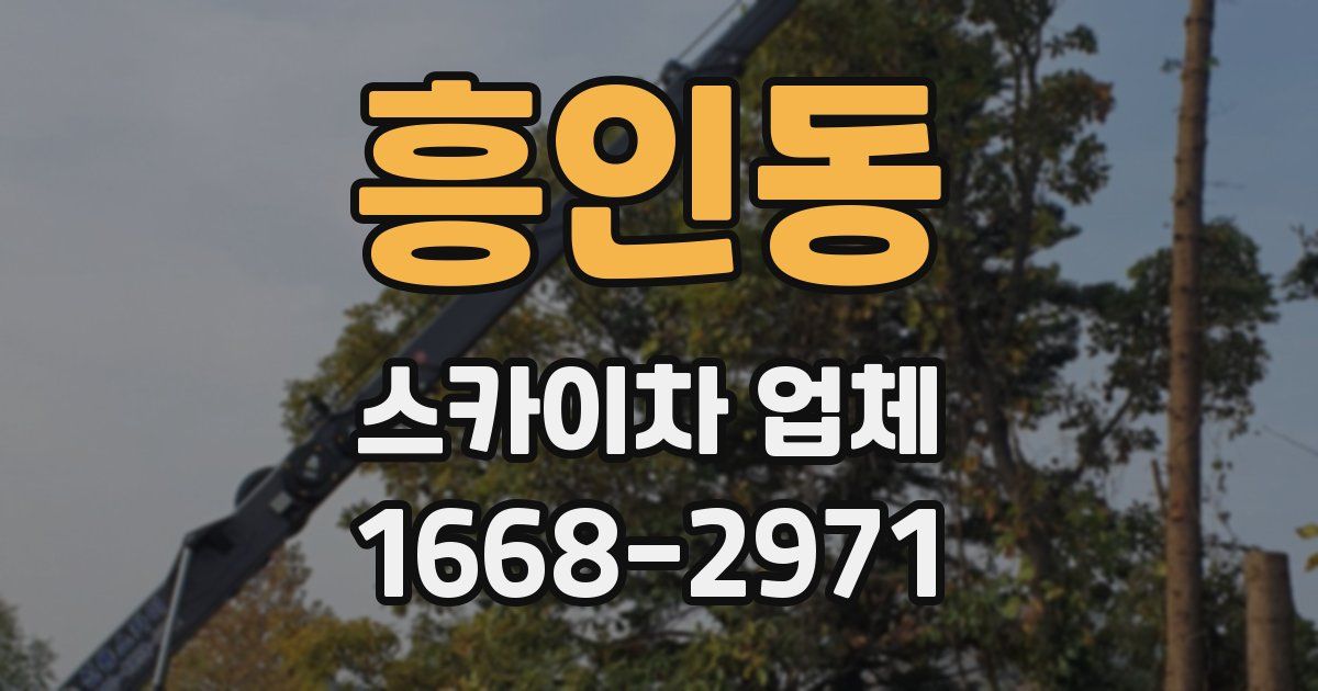 흥인동 스카이차 업체