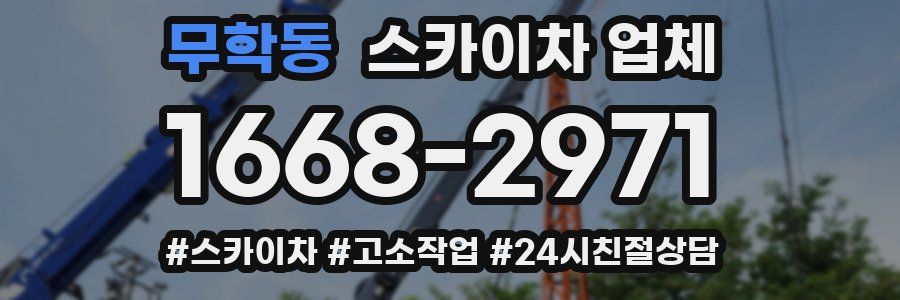 무학동 스카이차 업체