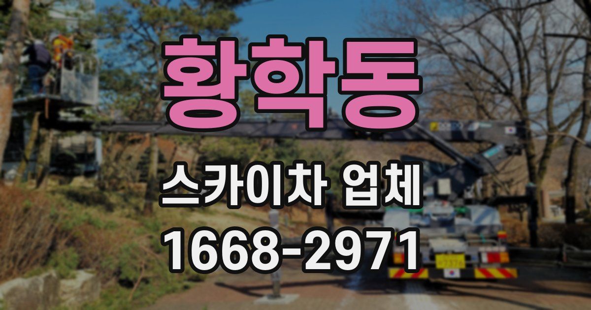 황학동 스카이차 업체