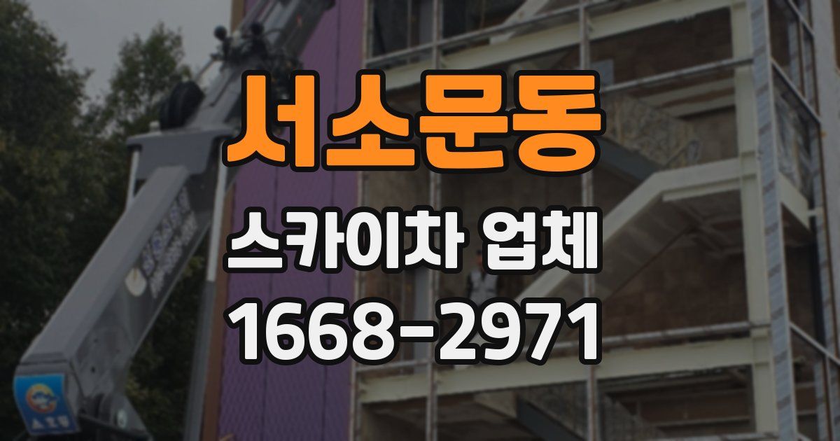 서소문동 스카이차 업체