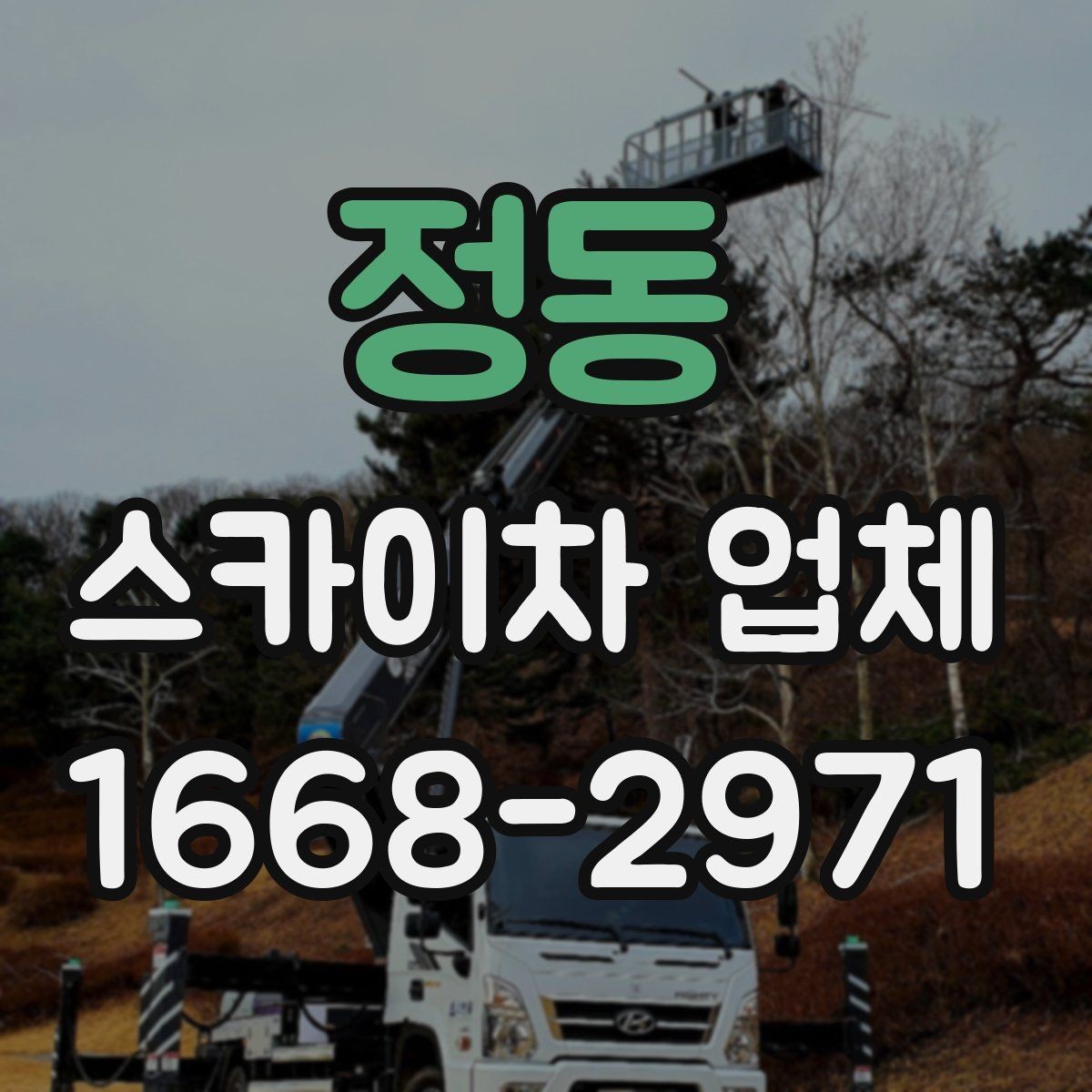 정동 스카이차 업체 선택에서 중요한 안전 기준