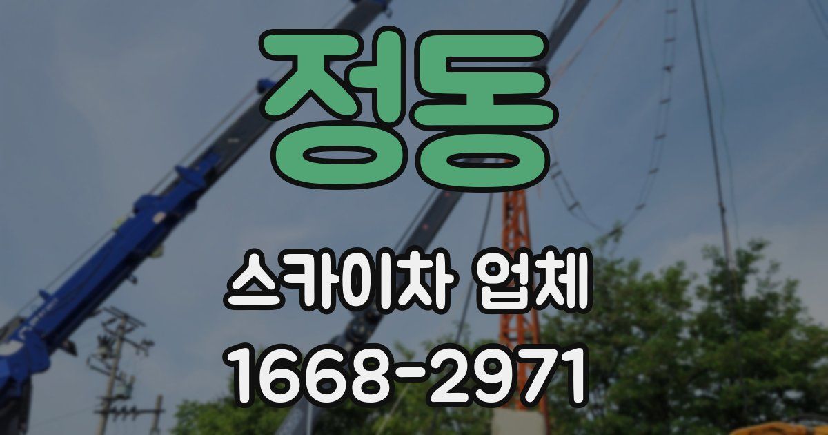 정동 스카이차 업체