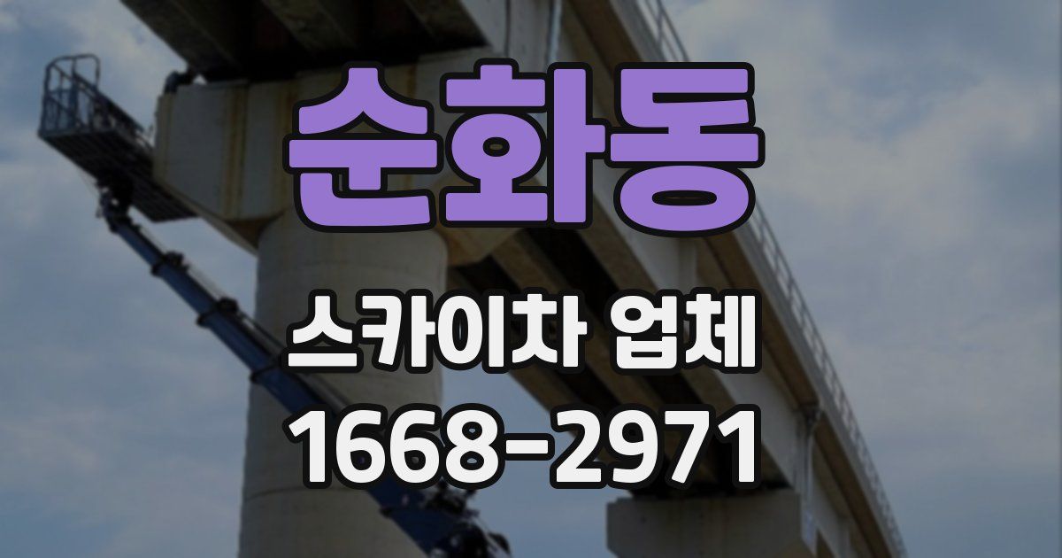 순화동 스카이차 업체