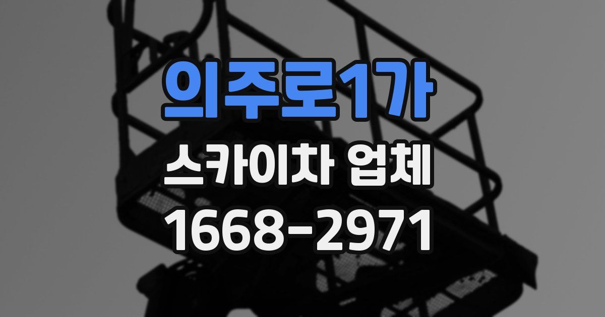 의주로1가 스카이차 업체