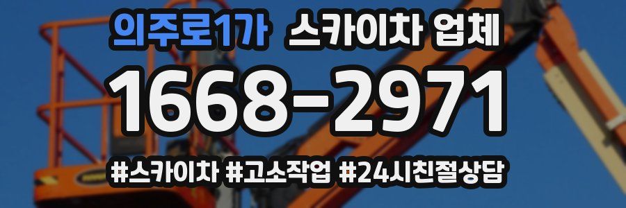 의주로1가 스카이차 업체
