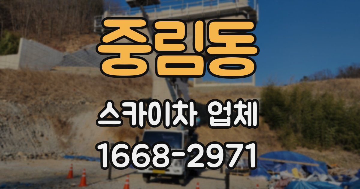 중림동 스카이차 업체