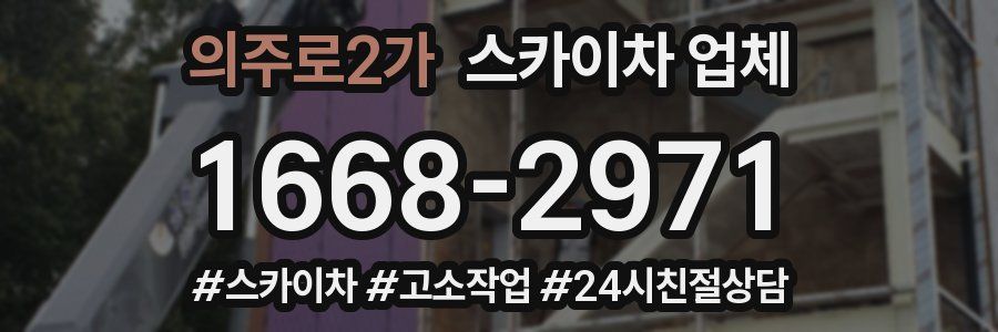의주로2가 스카이차 업체