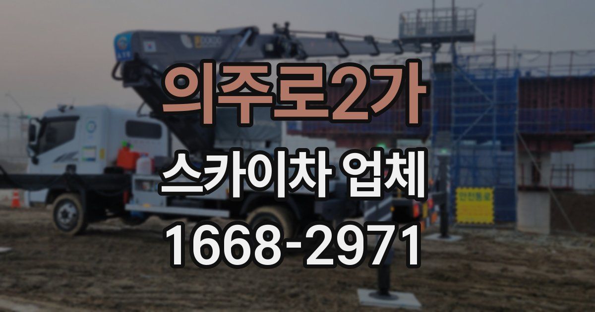 의주로2가 스카이차 업체