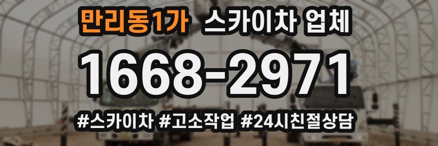 만리동1가 스카이차 업체