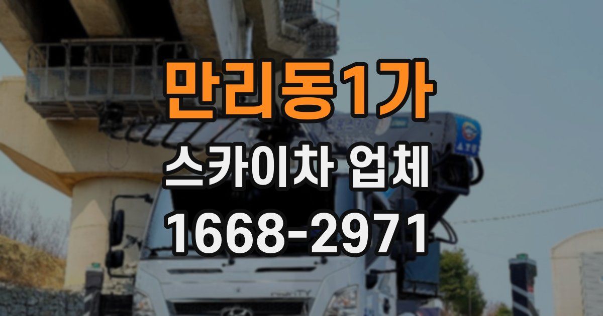 만리동1가 스카이차 업체