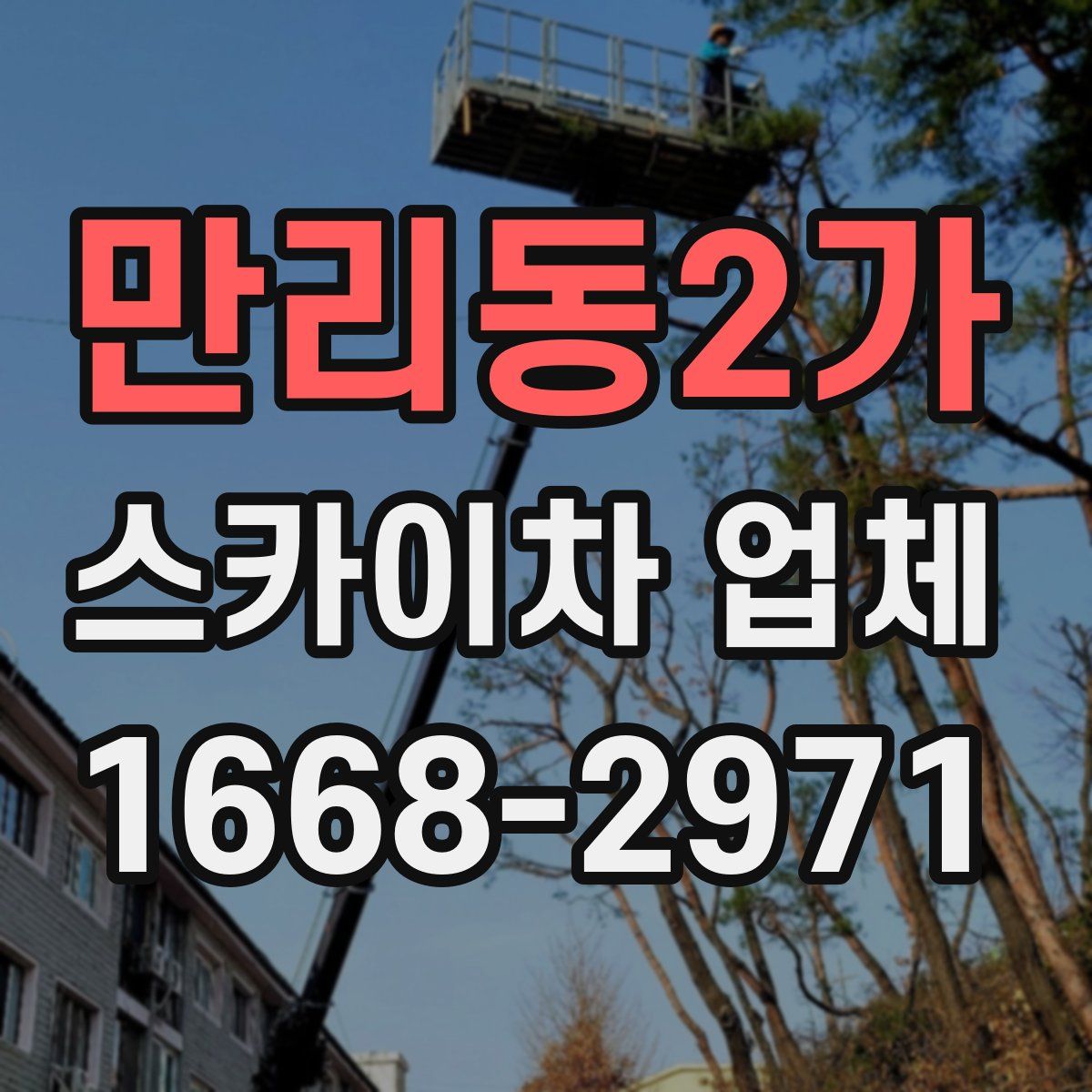 만리동2가 스카이차 업체