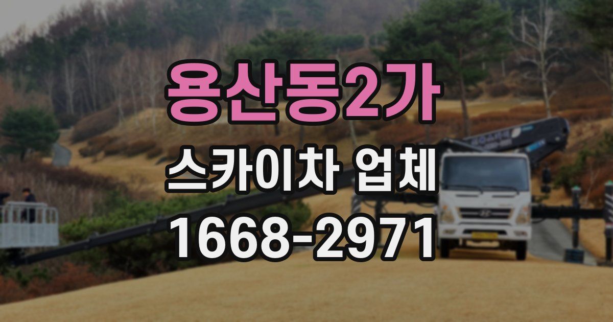 용산동2가 스카이차 업체