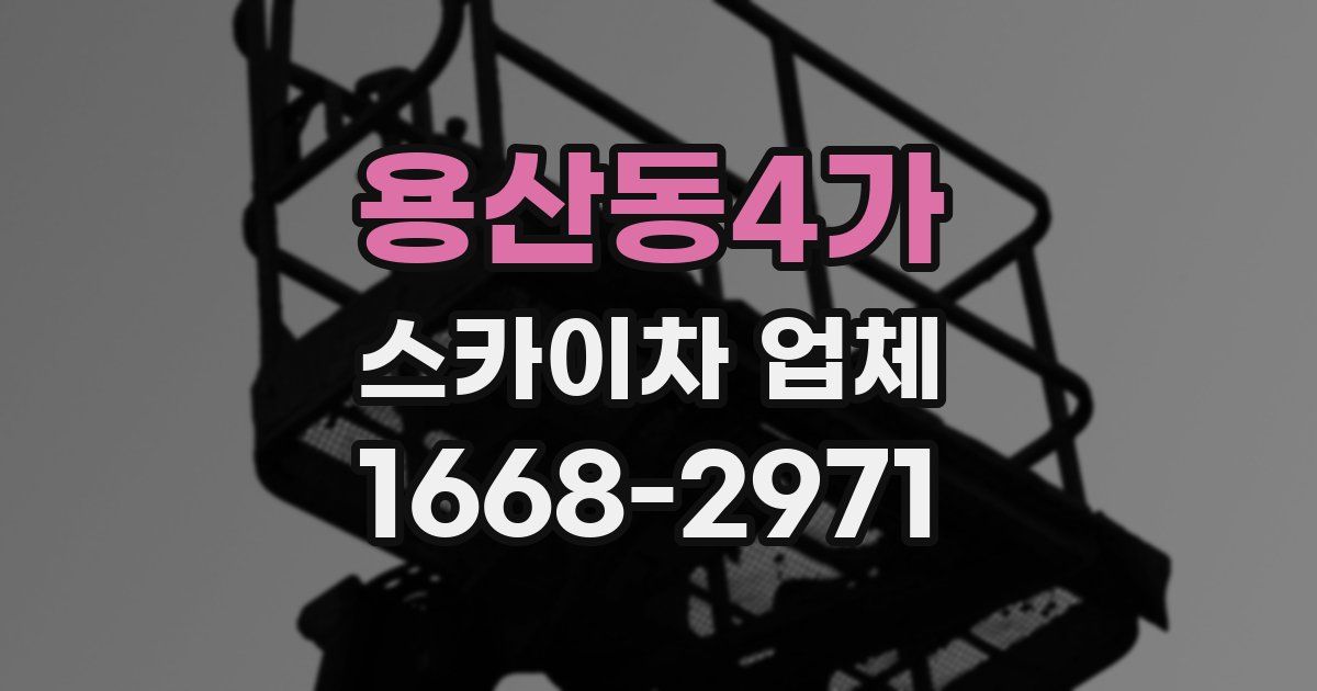 용산동4가 스카이차 업체