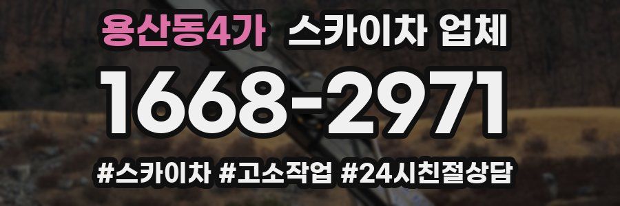 용산동4가 스카이차 업체