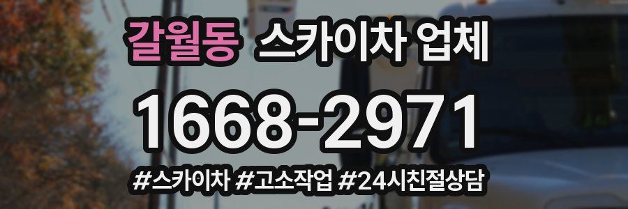 갈월동 스카이차 업체