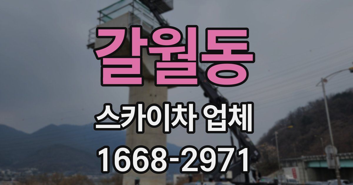 갈월동 스카이차 업체