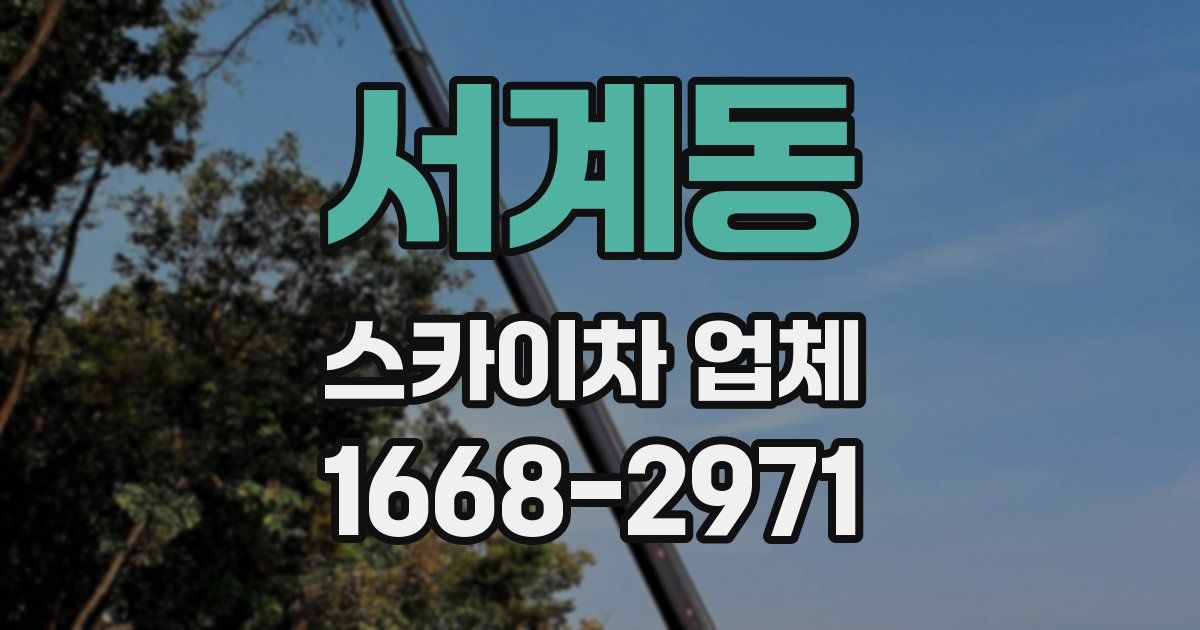 서계동 스카이차 업체