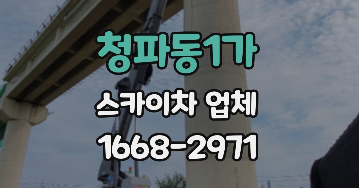 청파동1가 스카이차 업체