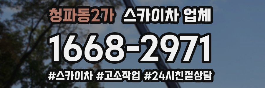 청파동2가 스카이차 업체