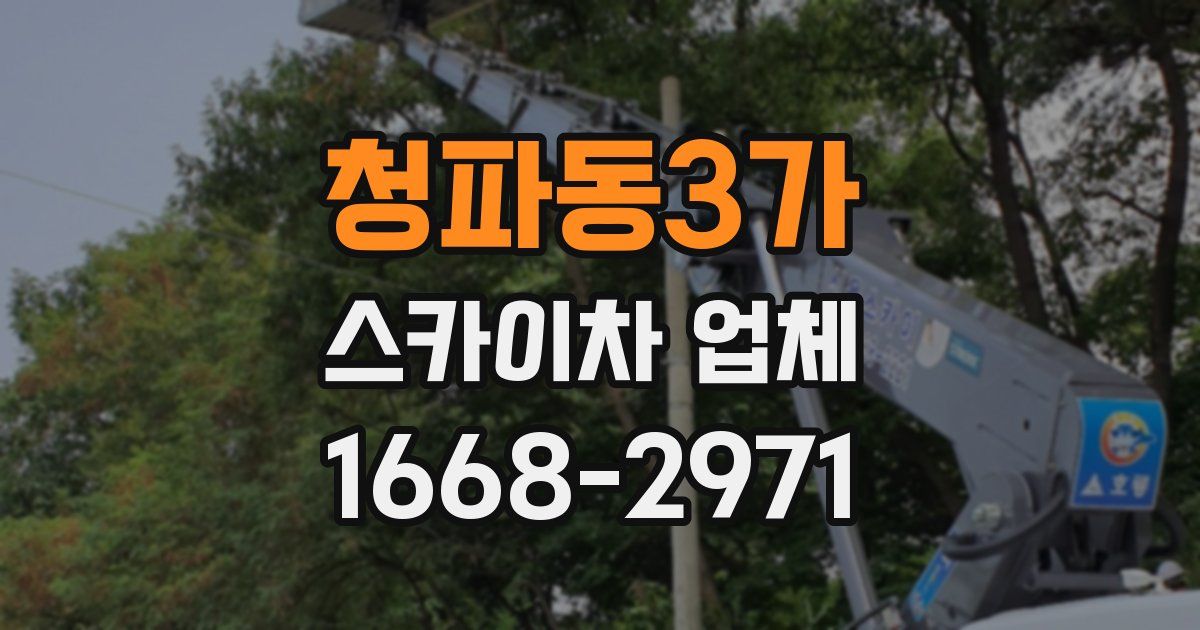 청파동3가 스카이차 업체