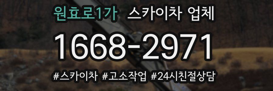 원효로1가 스카이차 업체
