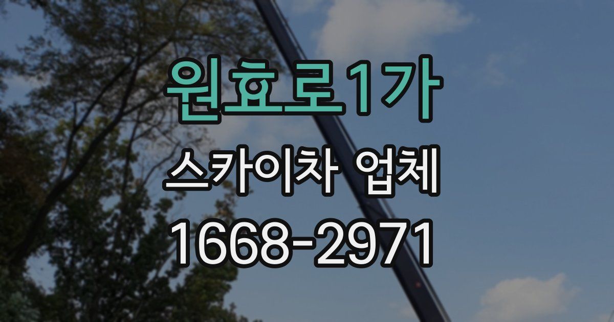원효로1가 스카이차 업체