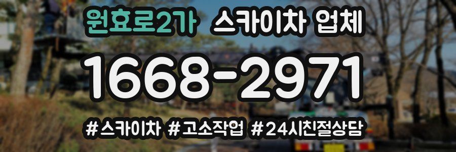 원효로2가 스카이차 업체