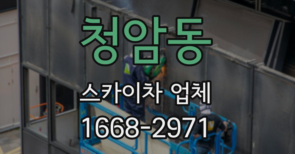 청암동 스카이차 업체