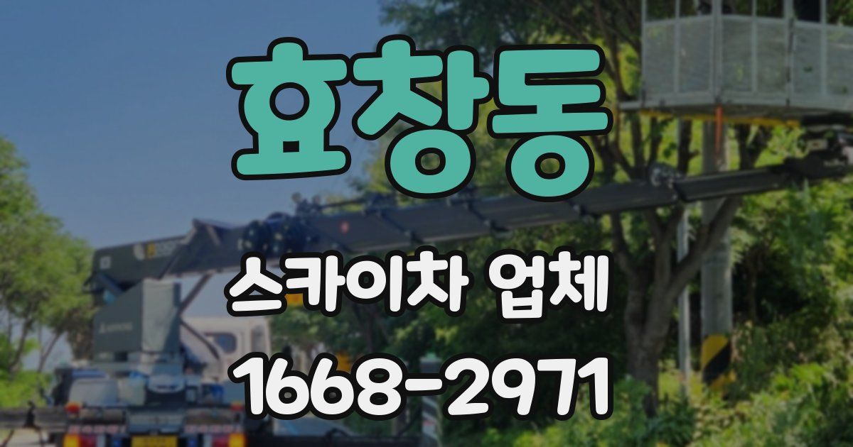 효창동 스카이차 업체