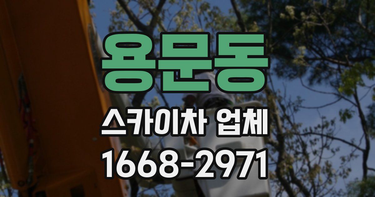용문동 스카이차 업체