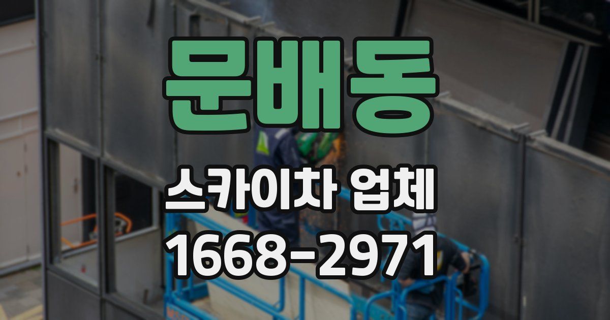 문배동 스카이차 업체