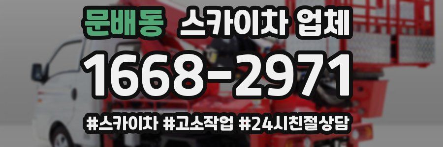 문배동 스카이차 업체