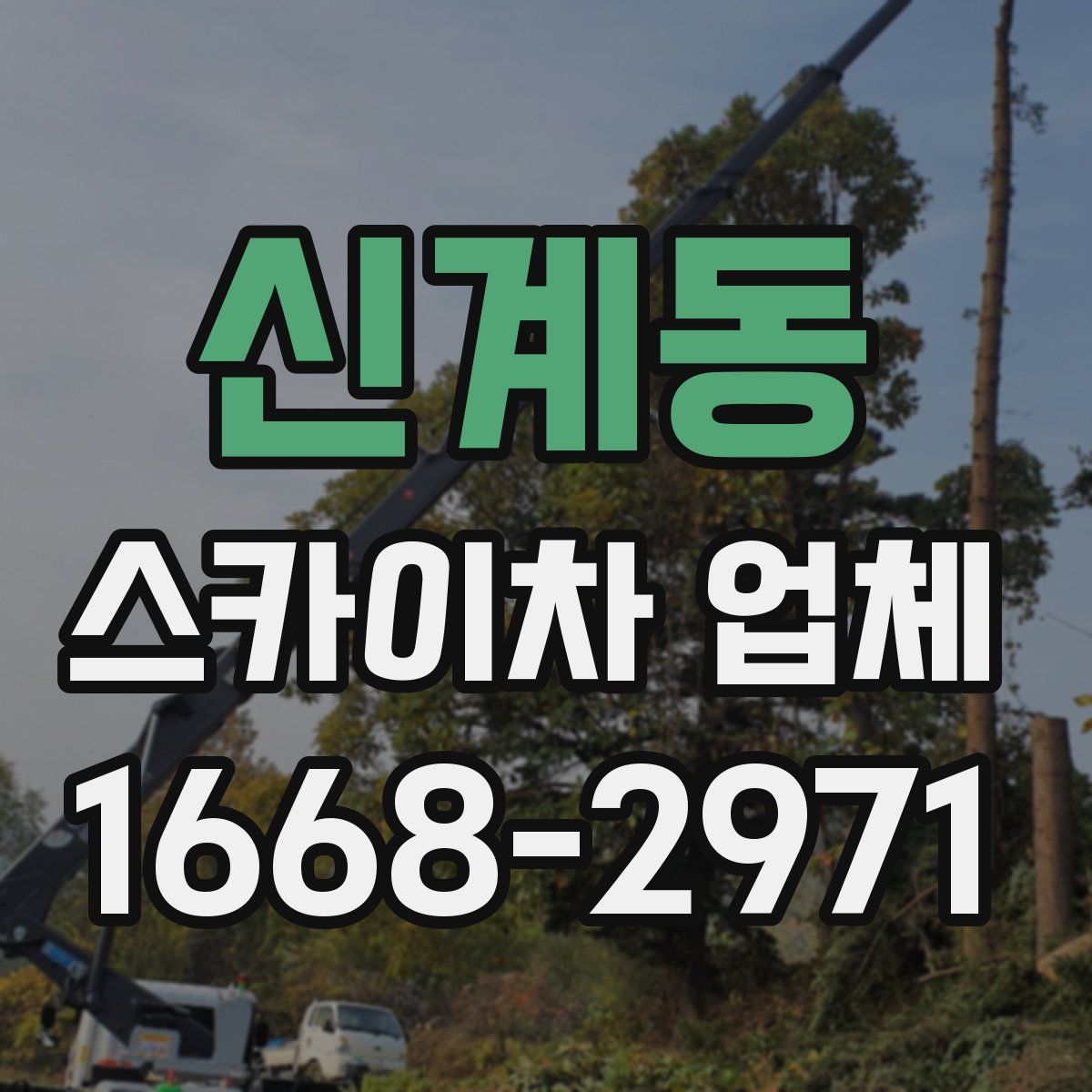 신계동 스카이차 업체