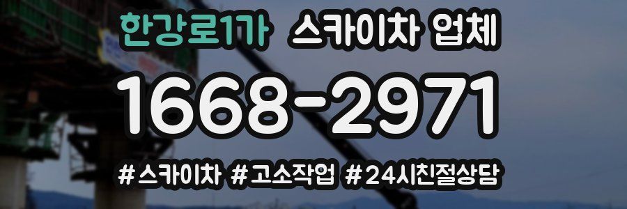 한강로1가 스카이차 업체