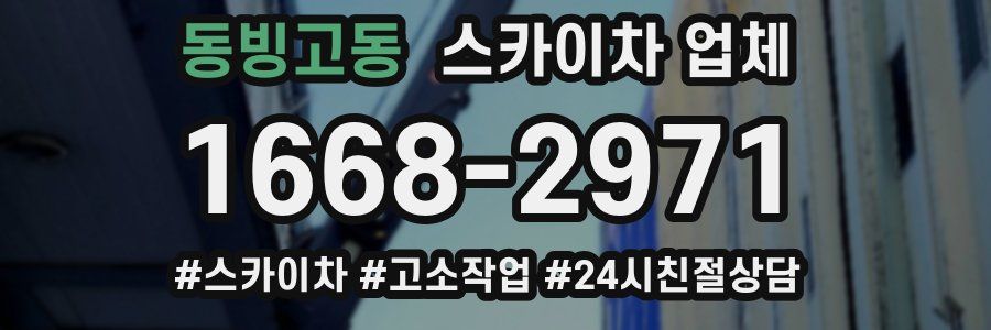 동빙고동 스카이차 업체