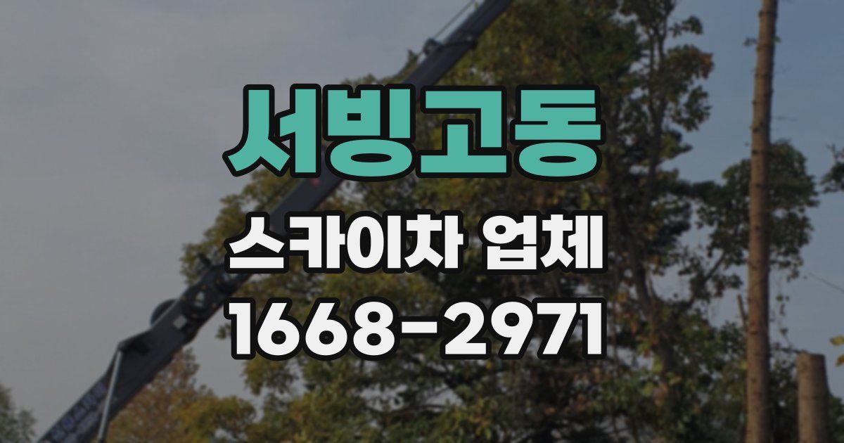 서빙고동 스카이차 업체
