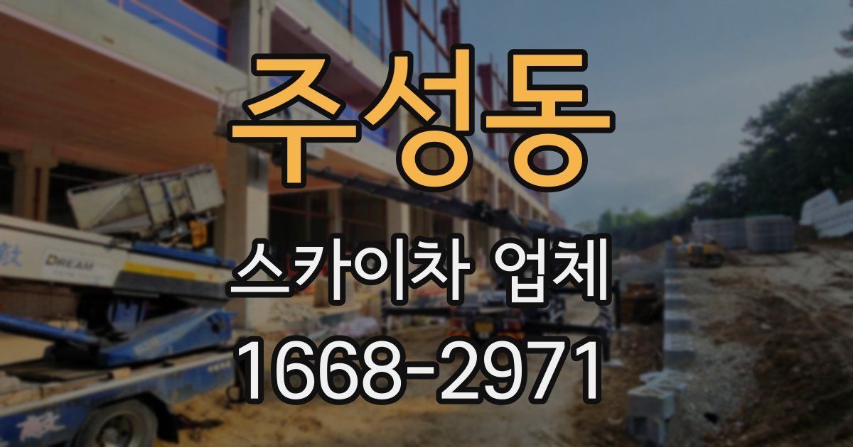 주성동 스카이차 업체