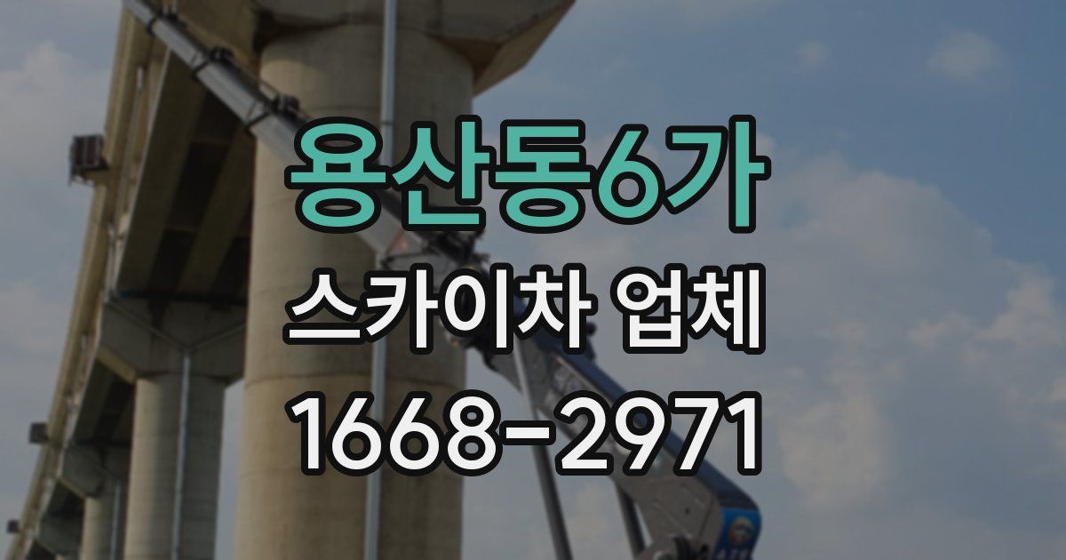 용산동6가 스카이차 업체