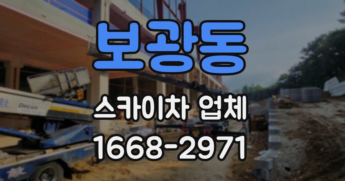 보광동 스카이차 업체