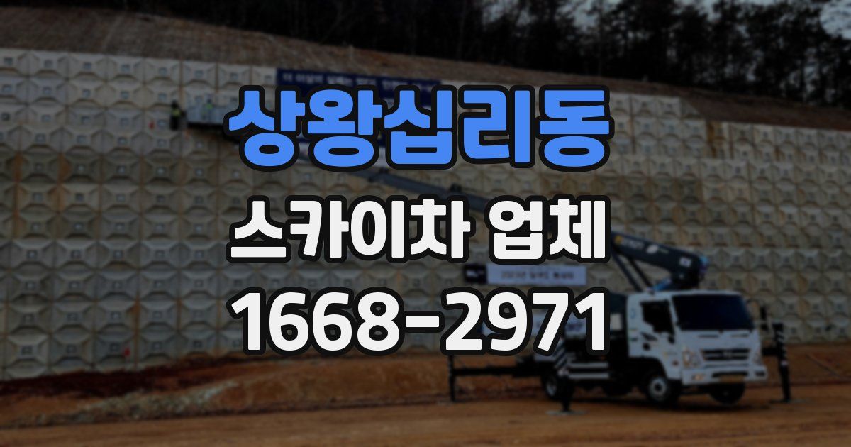 상왕십리동 스카이차 업체