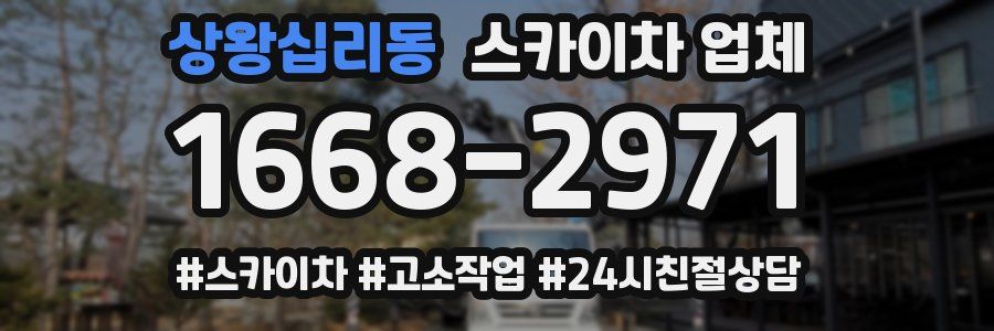 상왕십리동 스카이차 업체