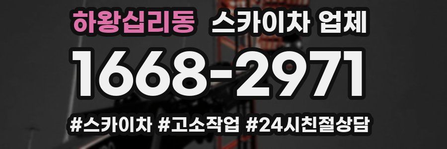 하왕십리동 스카이차 업체