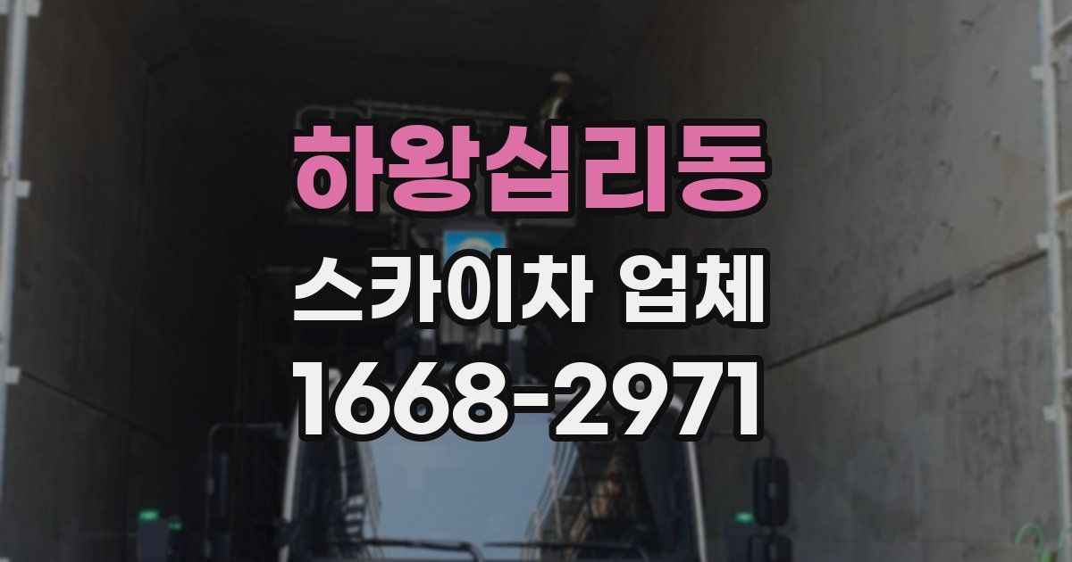 하왕십리동 스카이차 업체