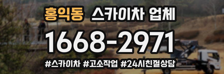 홍익동 스카이차 업체