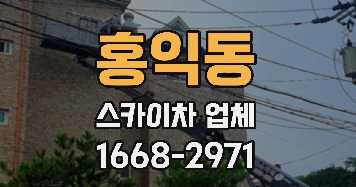 홍익동 스카이차 업체
