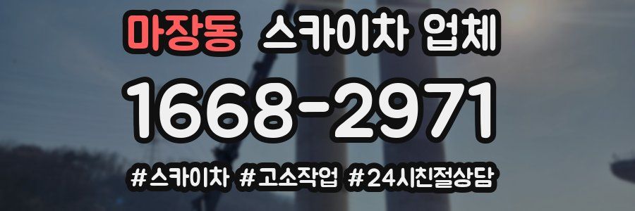 마장동 스카이차 업체