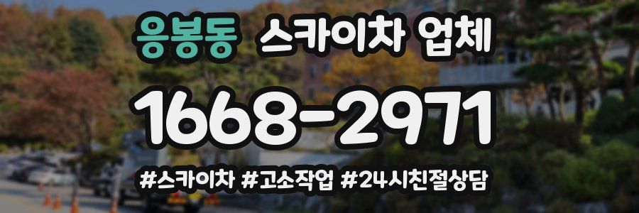 응봉동 스카이차 업체