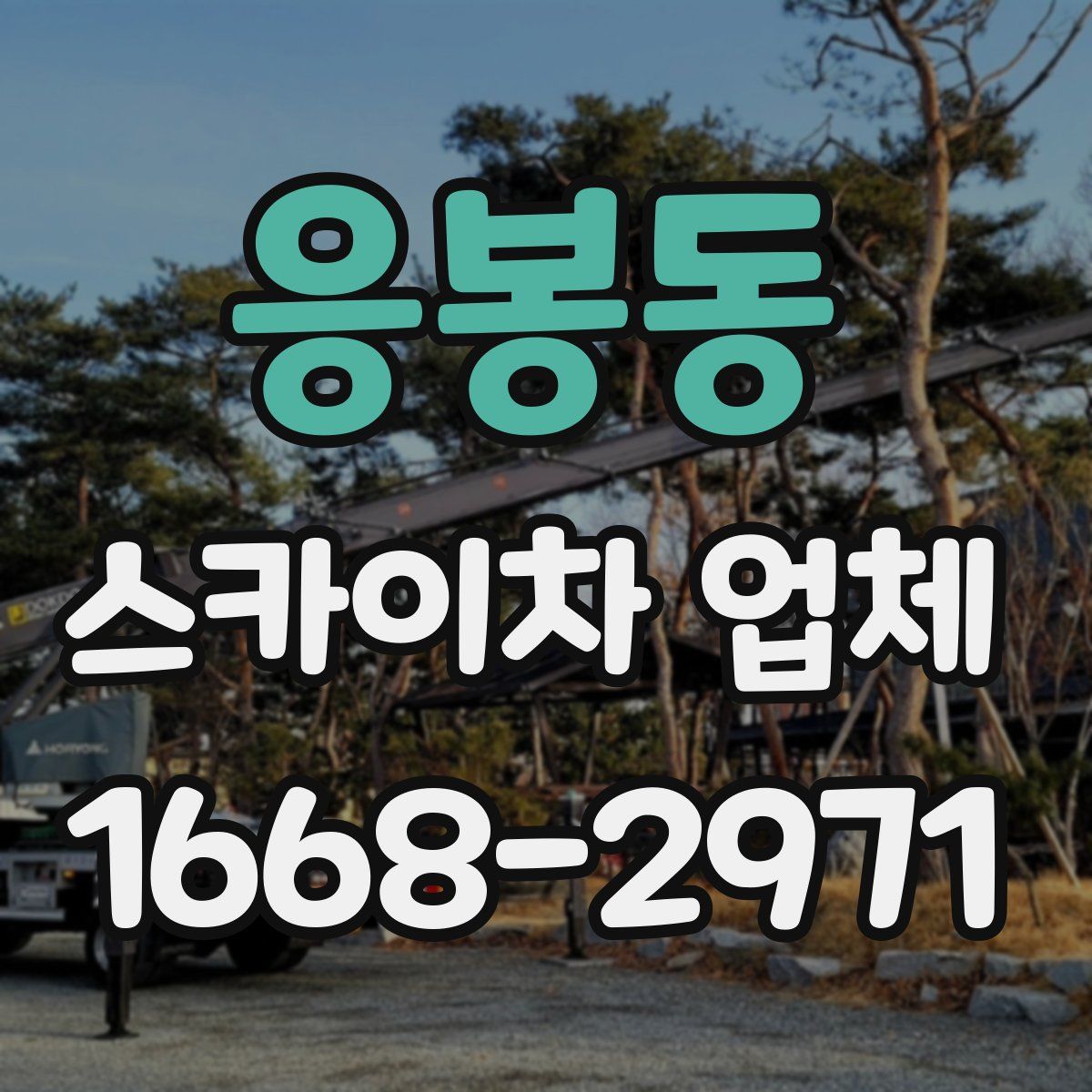 응봉동 스카이차 업체